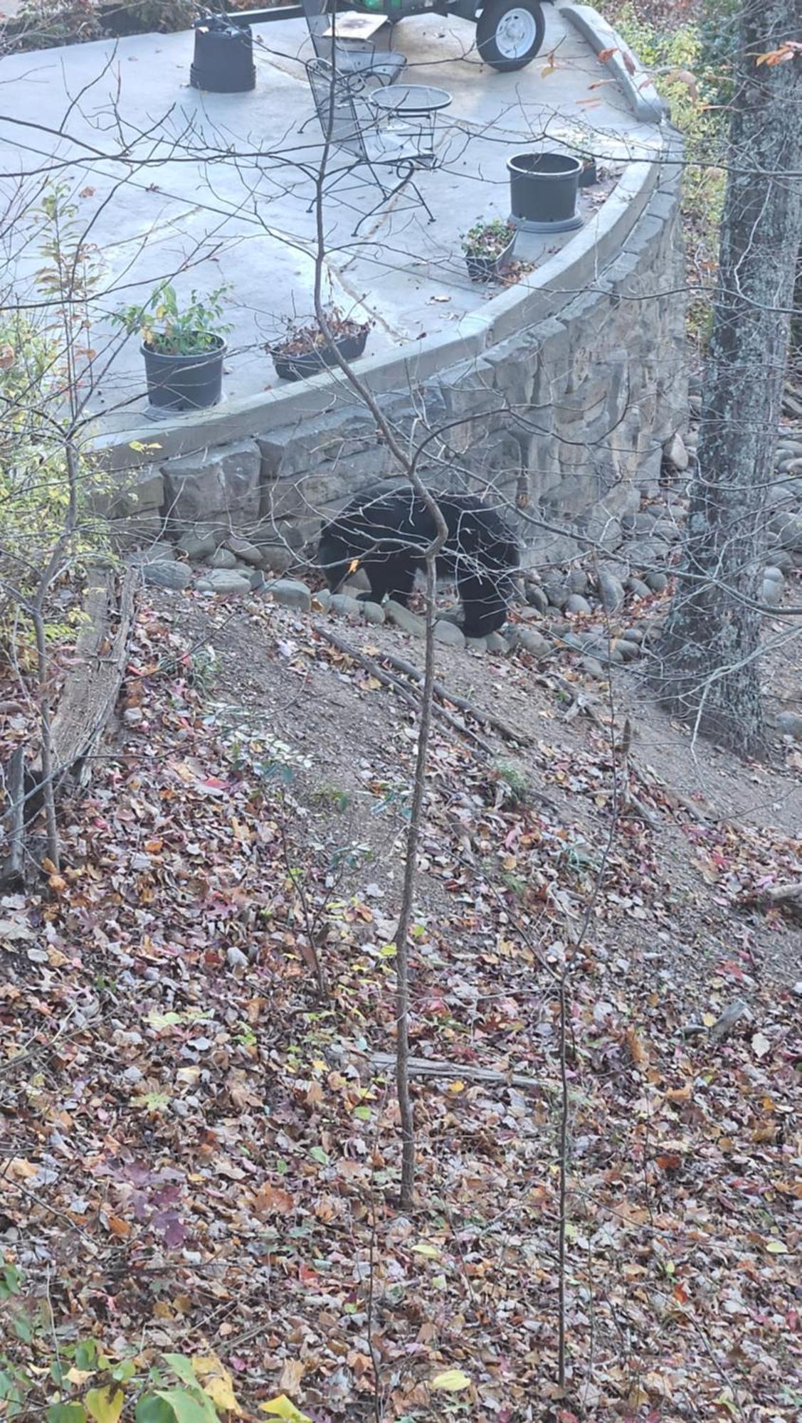 Southern Oak At Chalet Village - 5 Minutes From Gatlinburg And National Park Exterior foto
